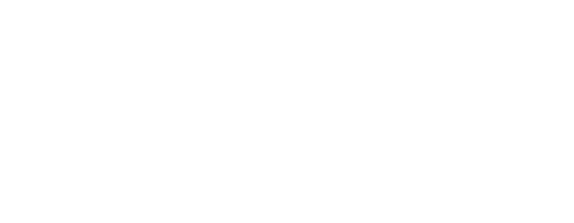 TechPoint Index header white