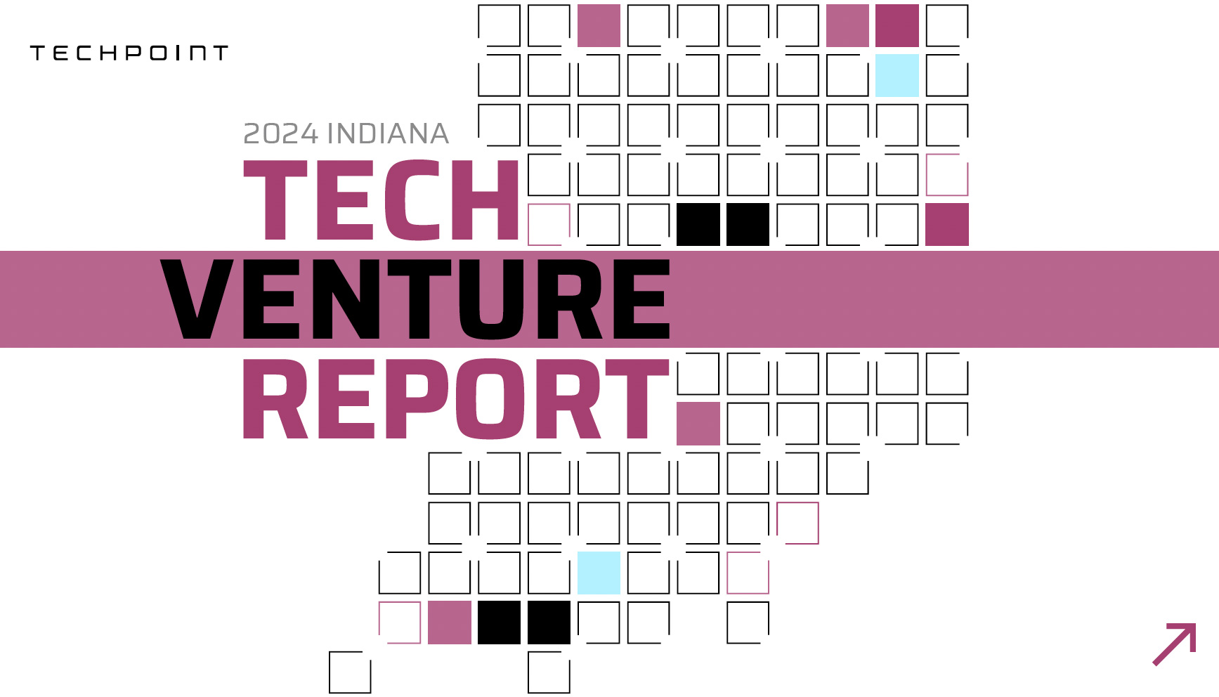 Tech Venture Report Logo