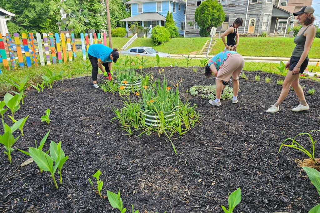 summer xterns gardening at aspire house in indianapolis