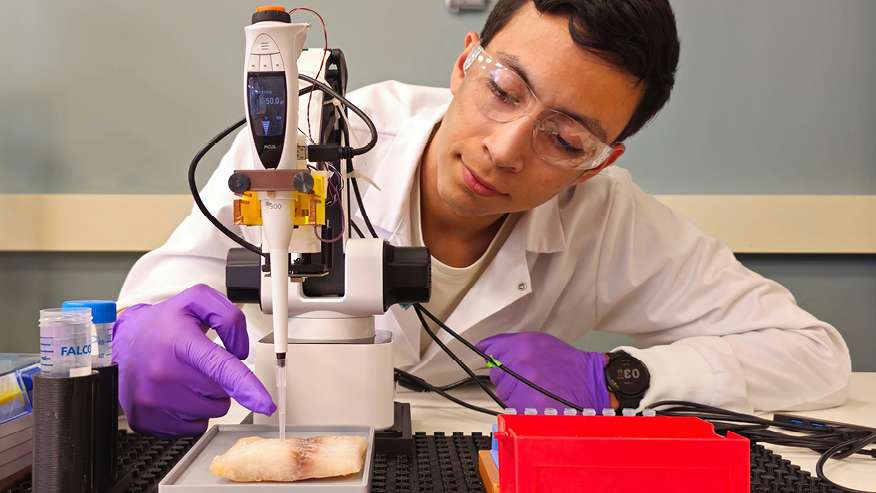 Jesus Ladino works with a device whose pipette touches a food sample.